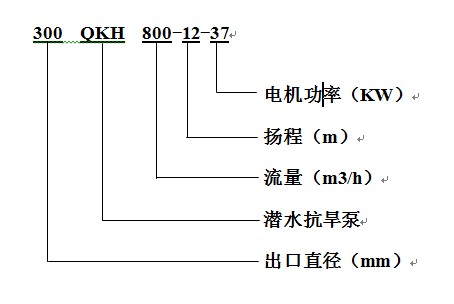 抗旱泵_型號(hào).jpg